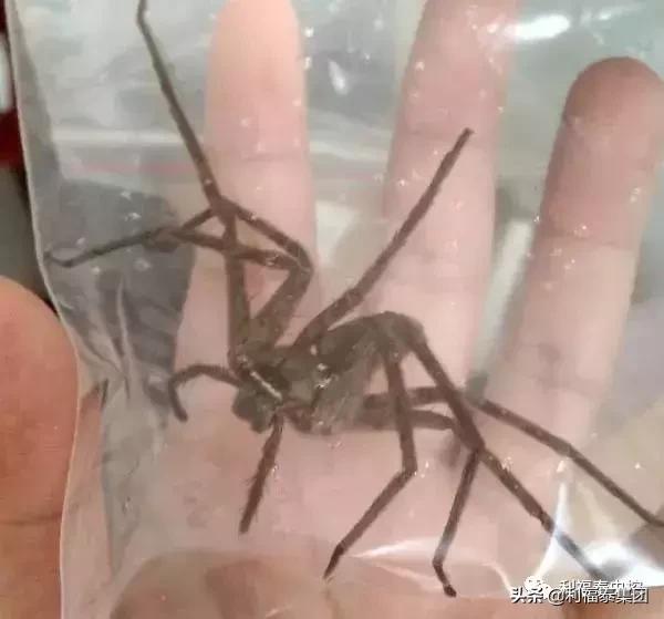 第329页