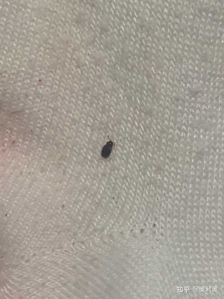 第310页