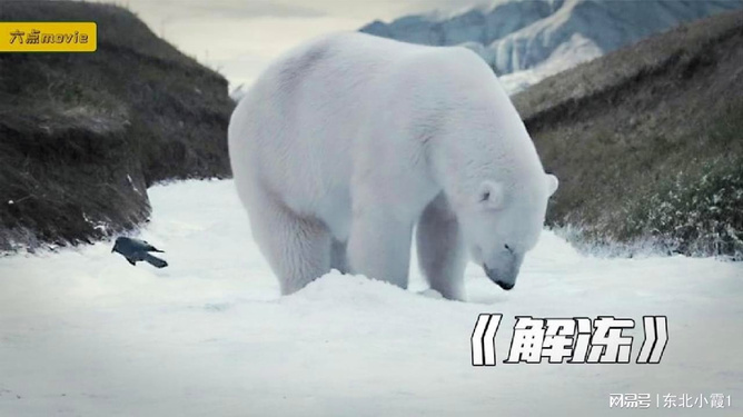 第325页