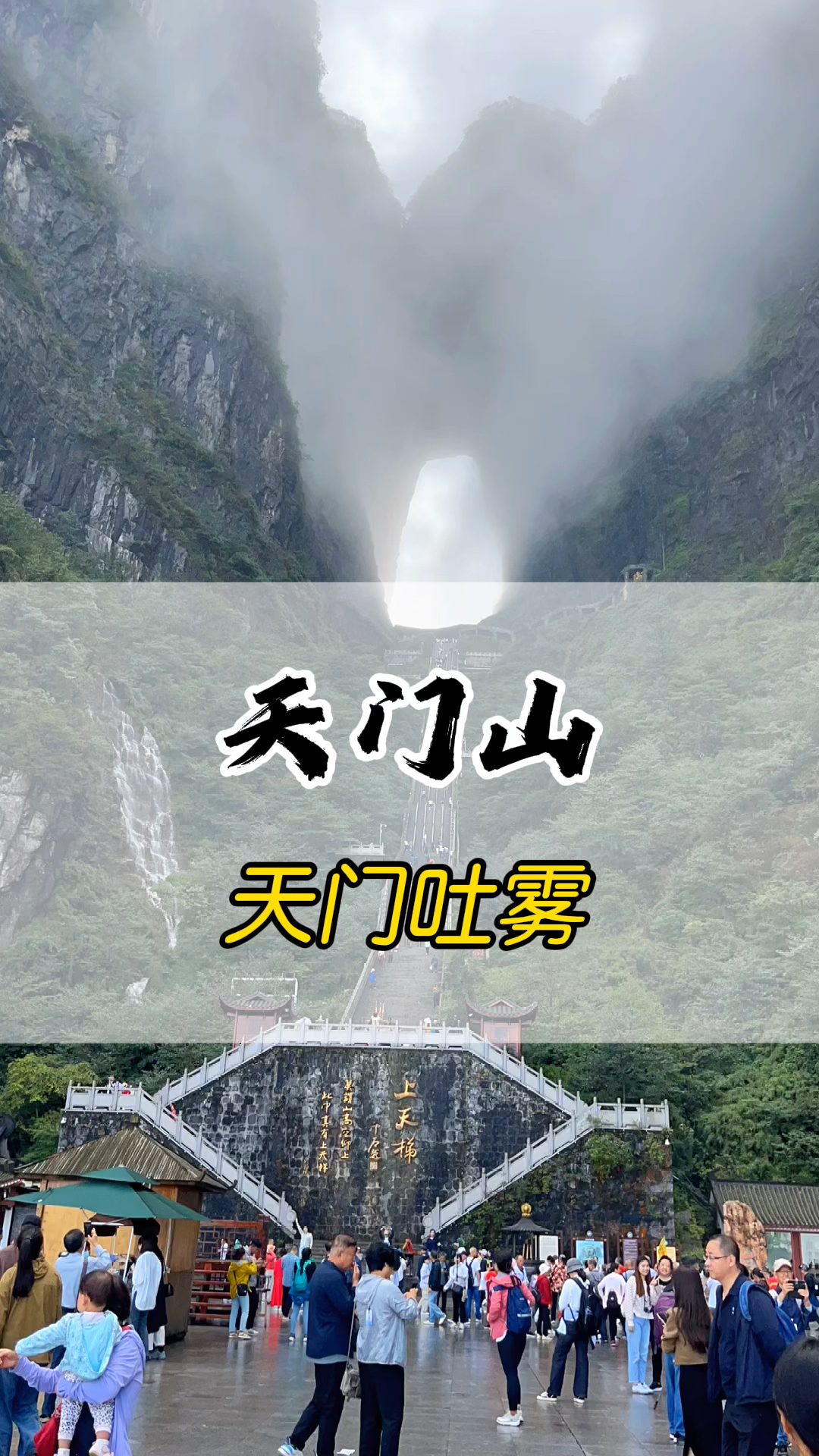 最新资讯 第10页